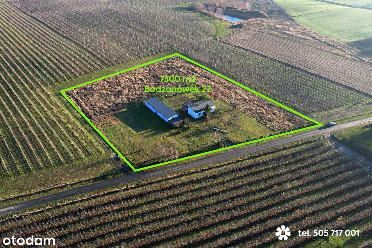 Siedlisko na Kujawach z dużą działką - Pełny obrazek: 2/17