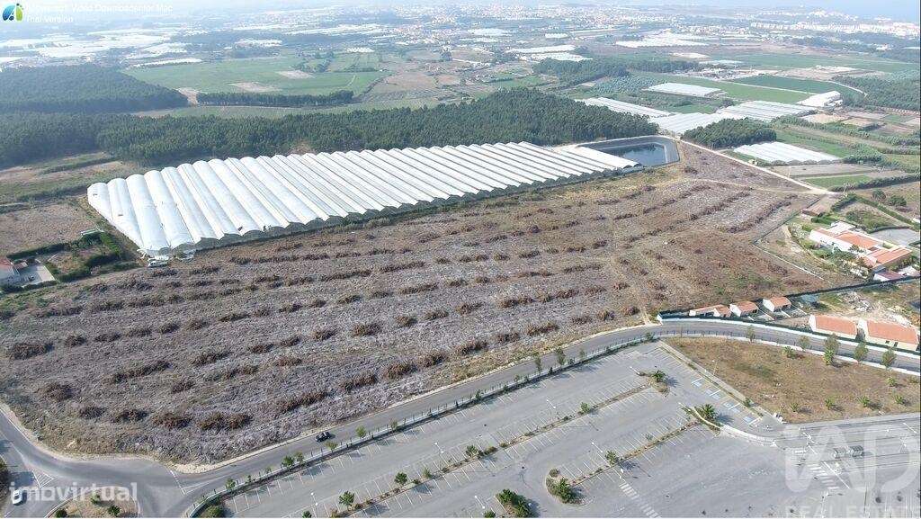 Terreno em A dos Cunhados e Maceira de 10000,00 m2 - Grande imagem: 2/15