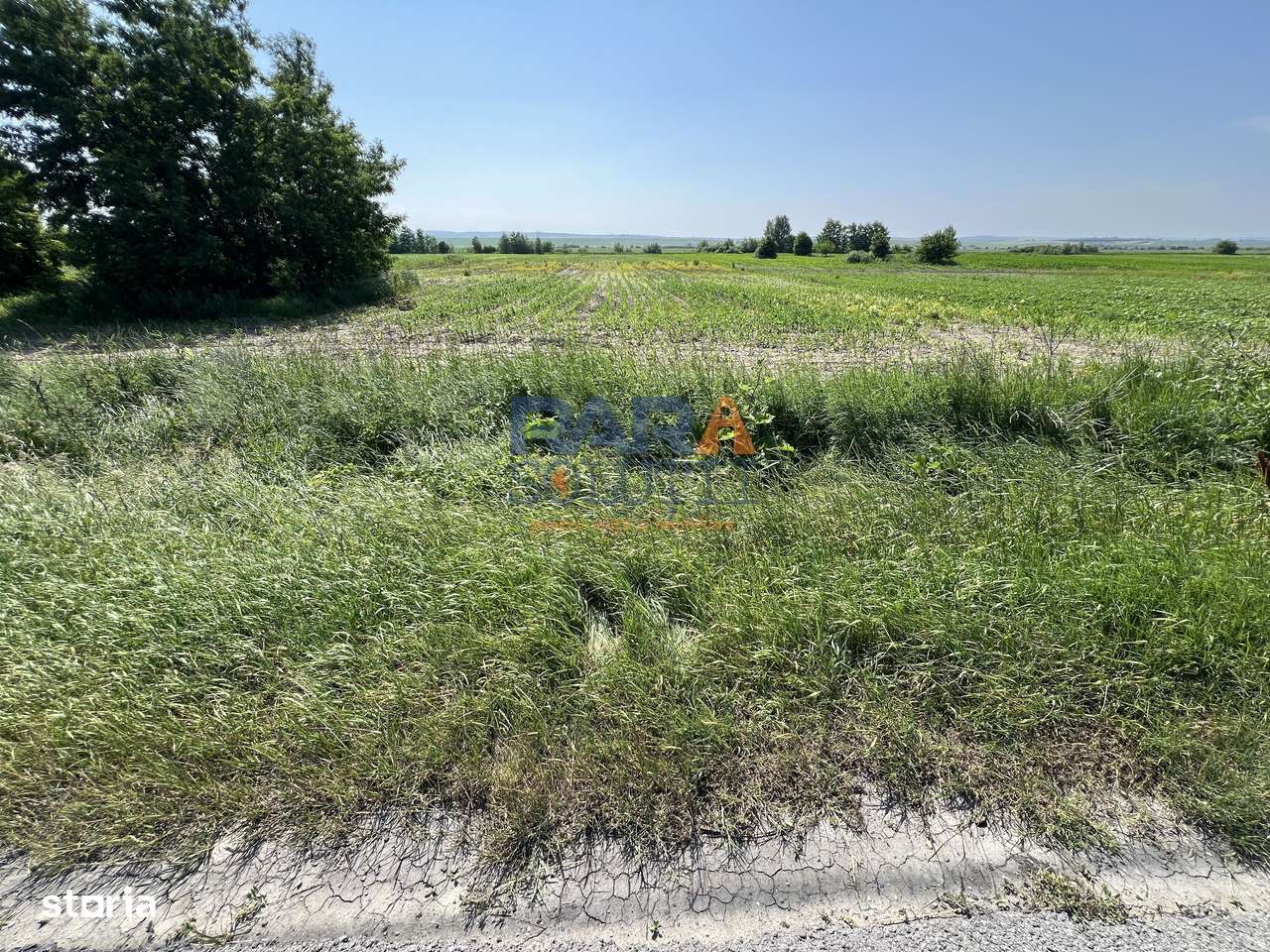 Teren 9969 mp, situat la E85, între două intrări pe autostrada A7-4