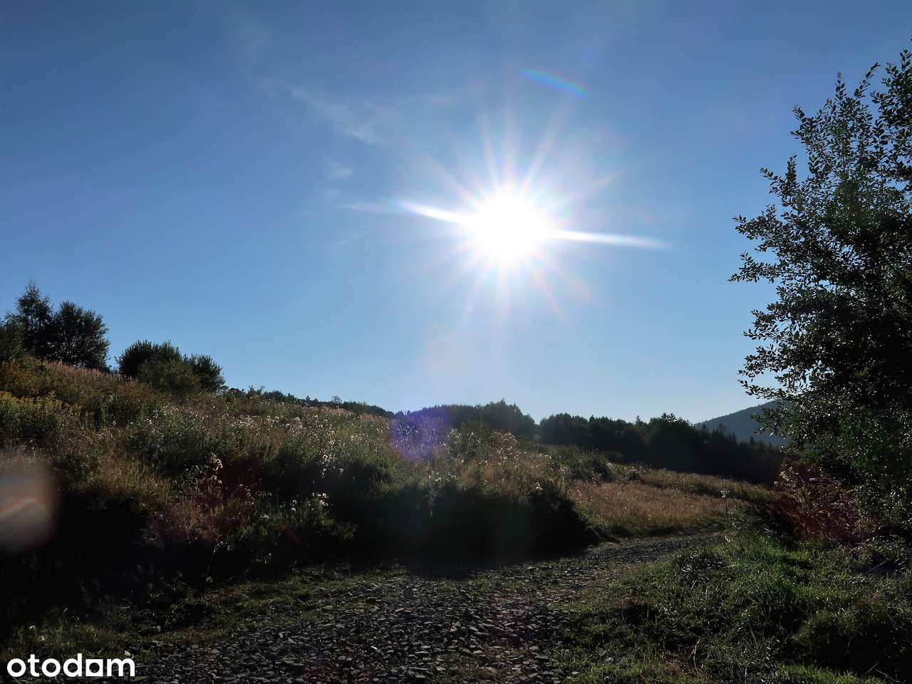 Działka budowlana, 3200 m2, Istebna - Pełny obrazek: 5/5