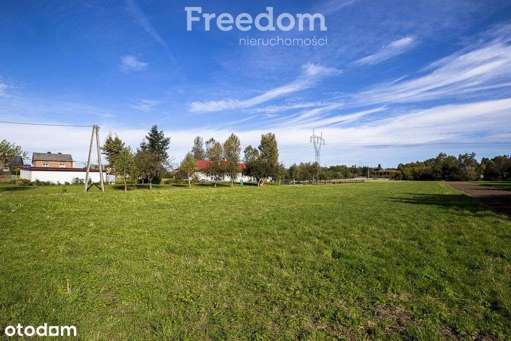 60 arów Niechobrz – idealna pod zabudowę i inwesty - Pełny obrazek: 3/14