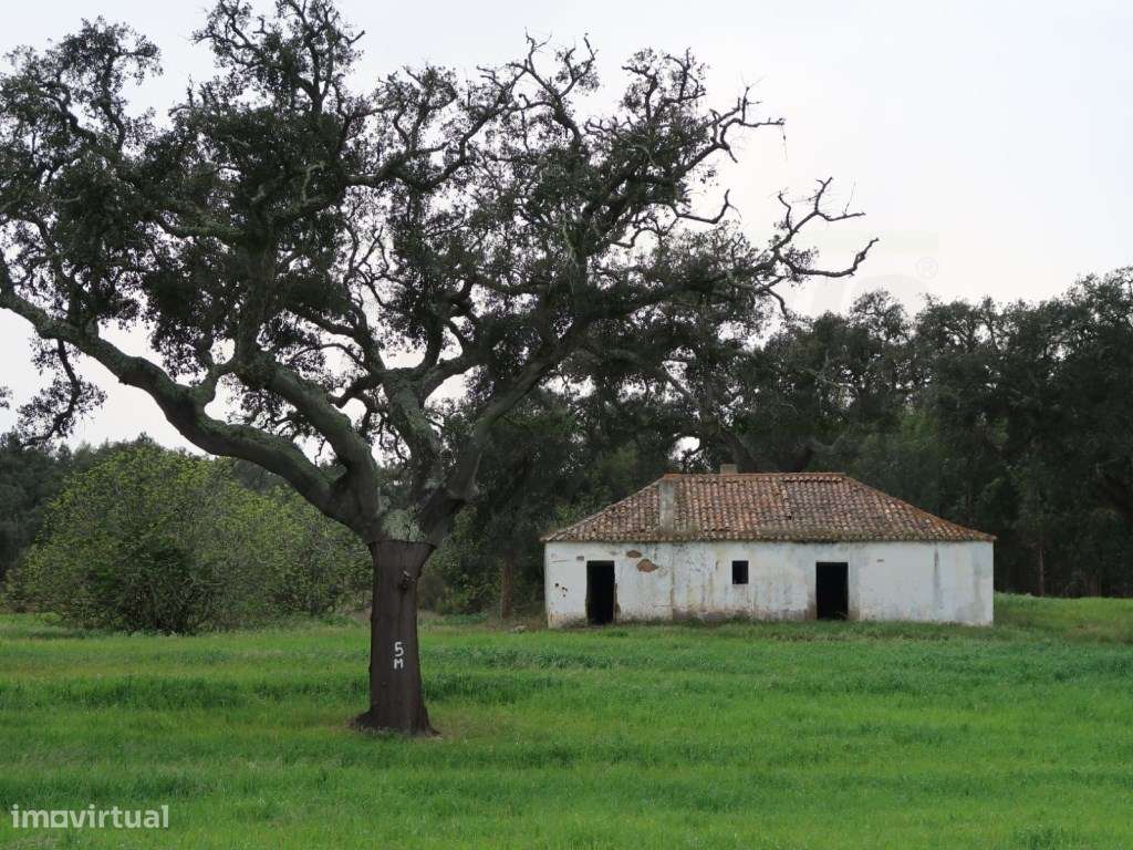 Quinta em excelente localização-33