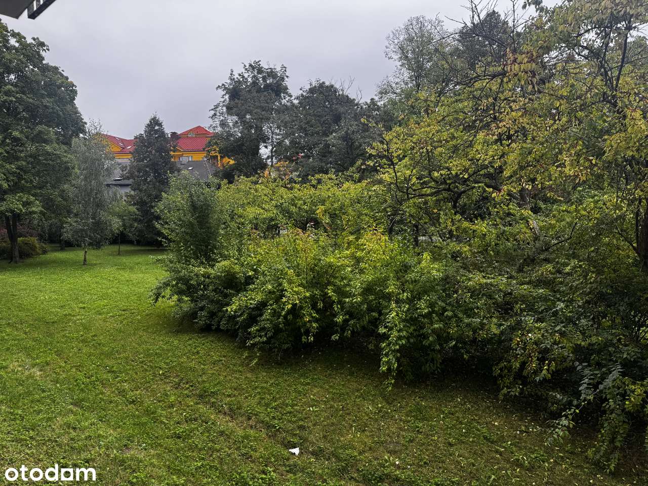 -Na Sprzedaż- os. Przyjaźni-2/3 pok-Po remoncie--7