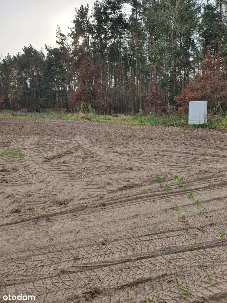 Atrakcyjna działka pod lasem z decyzją WZ uzbrojona - Pełny obrazek: 4/9