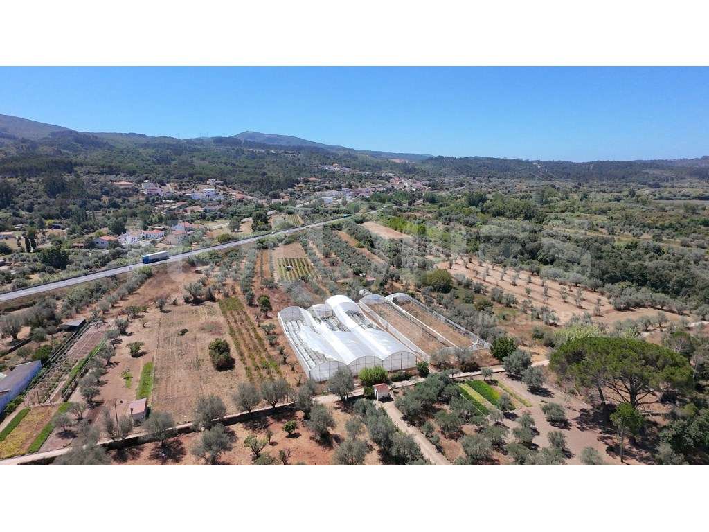 Terreno Agrícola com Estufas Preparadas para Produção em Hidroponia...-21