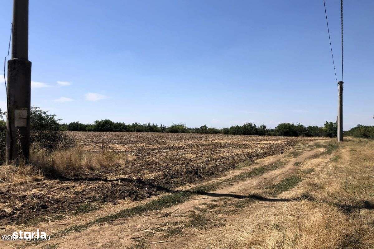 Moara Vlasiei - langa Padurea Biglaru, 11.884 mp, deschidere 40 ml - Imagine principală: 3/15