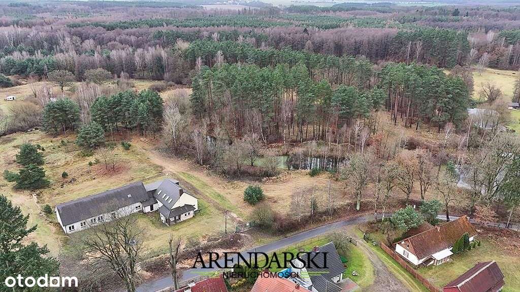 Działka, 53 300 m², Santocko - Pełny obrazek: 5/10