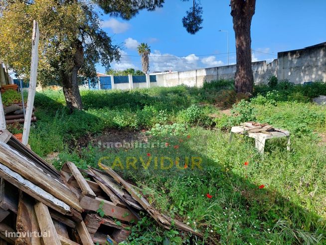 Terreno urbano com 334m2 para construção-6