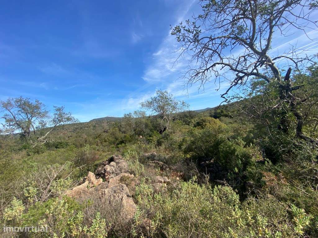 Lote de terreno rústico situado em zona muito tranquila, Boliqueime... - Grande imagem: 4/17