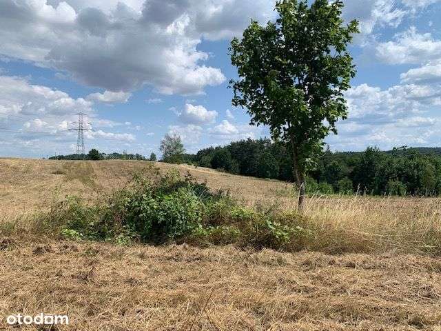 Ostatnie działki budowlane Świebodzice Zamek Książ - Pełny obrazek: 4/12