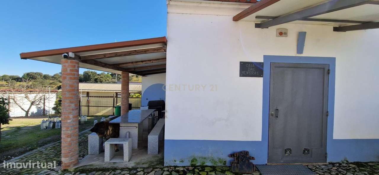 Herdade de 62 Hectares no Coração do Alentejo – Évora  - Agricultura --6