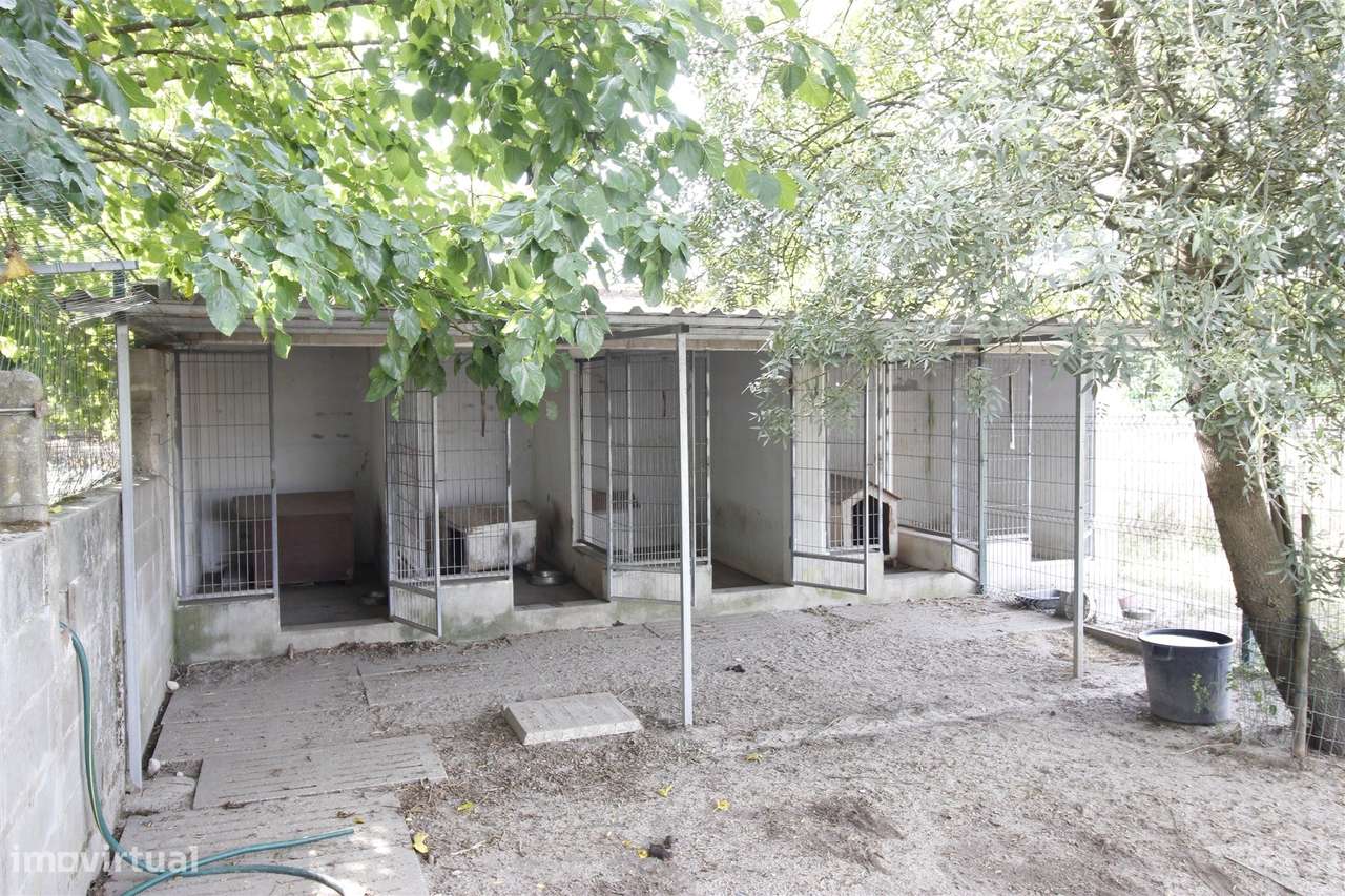 Quinta  Venda em Vendas Novas,Vendas Novas-24