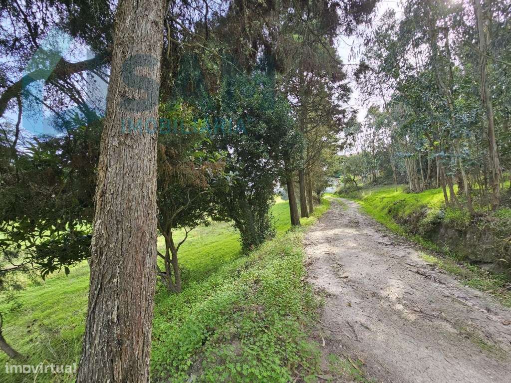 Terreno de 12.105 m2 com moradia Torres Vedras-33