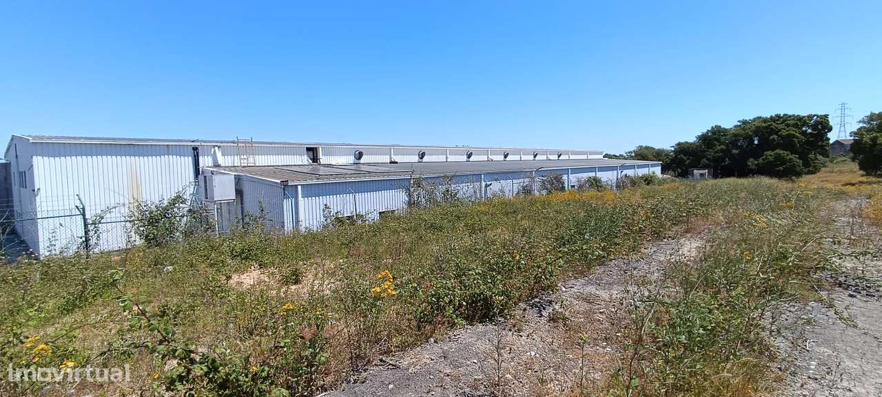 Terreno Rústico – Palmela-13