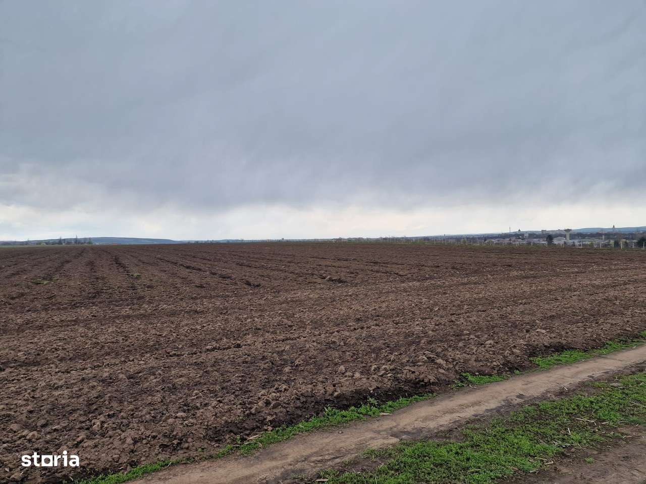 Teren 10,000mp Bacau / Strada Alexandru Safran-7