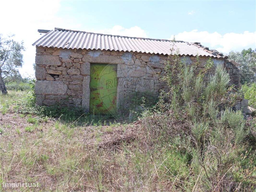 Quinta  para venda - Grande imagem: 2/13