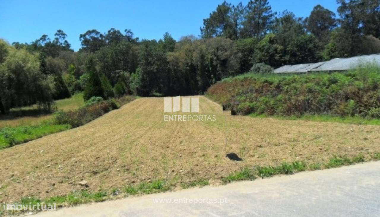 Terreno Agrícola - Vila Mou - Grande imagem: 2/2