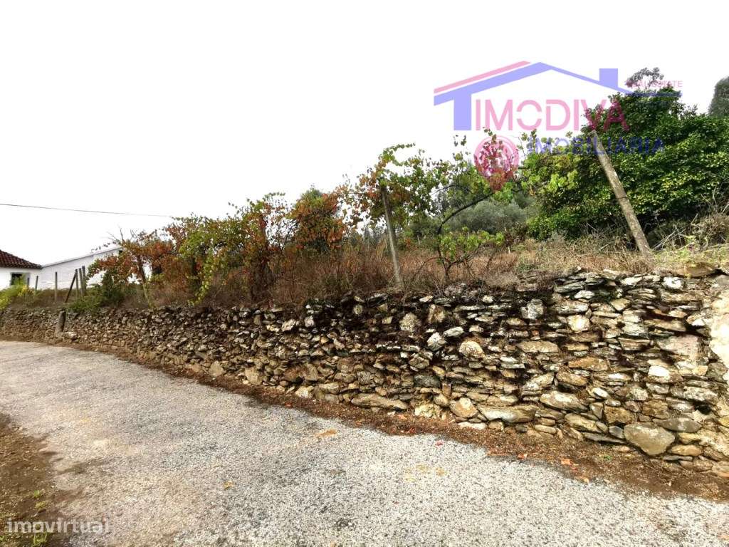 CASA SENHORIAL E TERRENO, CASTANHEIRA DE PERA-48