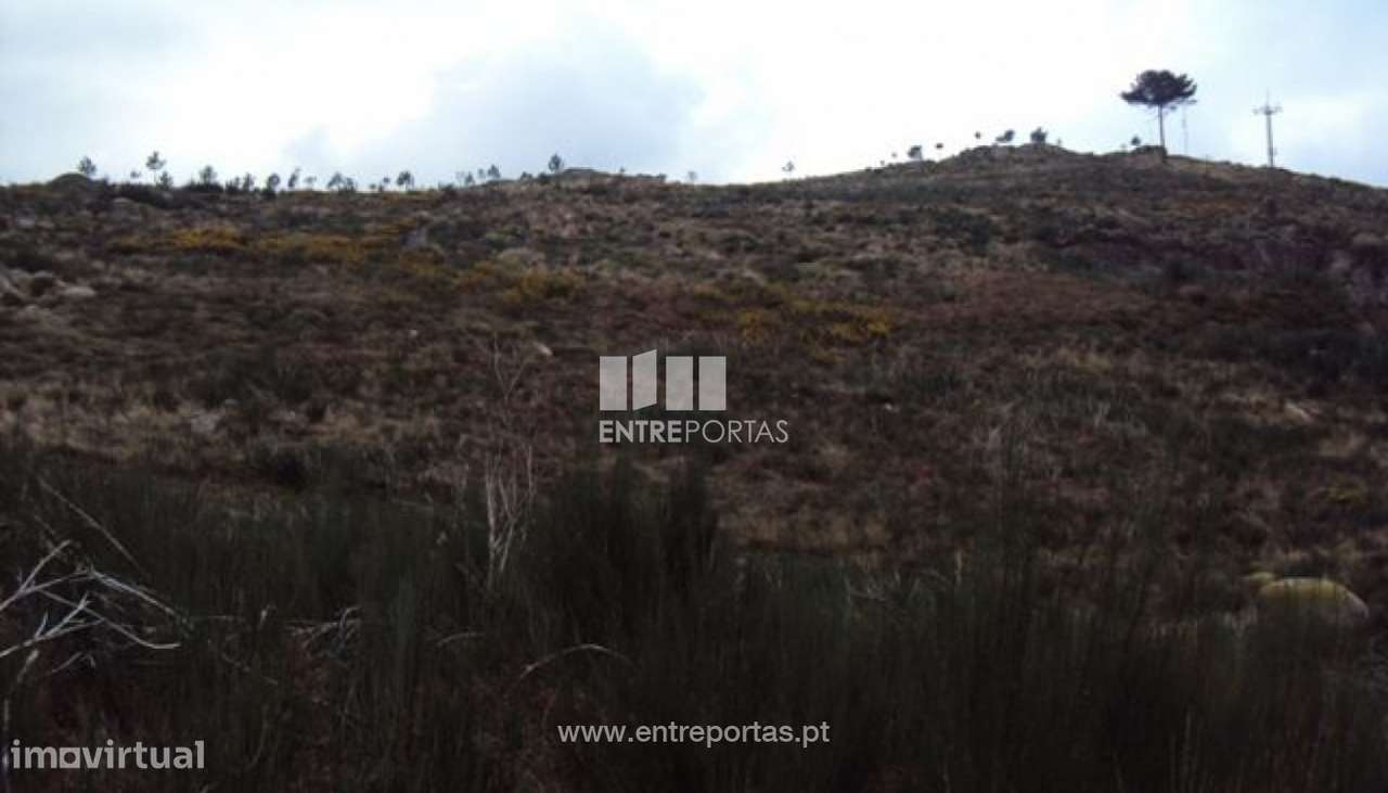 Venda Terreno, Banho e Carvalhosa, Marco de Canaveses - Grande imagem: 5/6