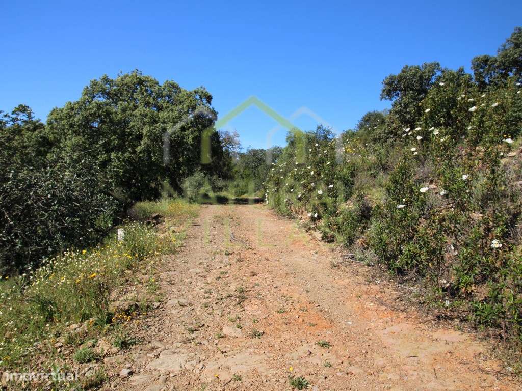 Ruína com Terreno e Vista Panorâmica em Tavira - Grande imagem: 5/8