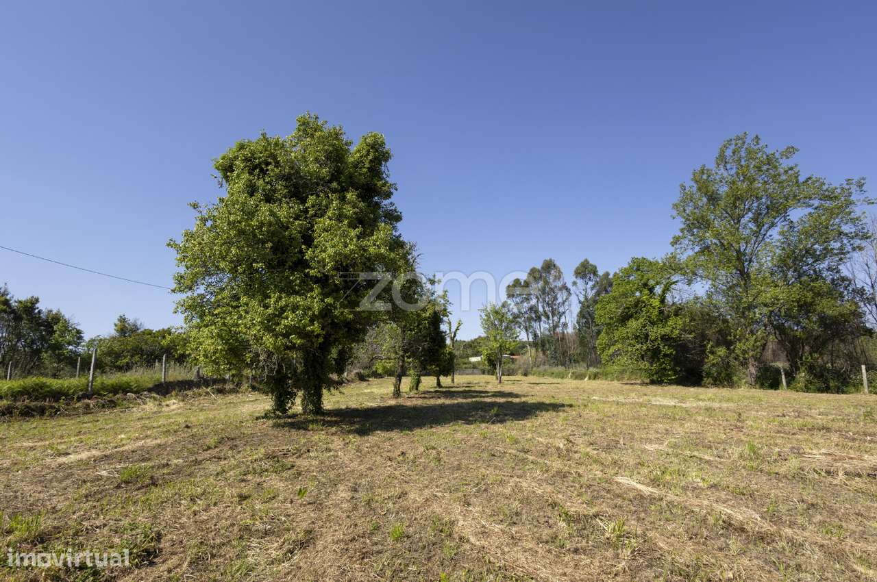 Terreno Urbano 800m2 com Projeto para moradia térrea, em Grijó - Grande imagem: 2/15