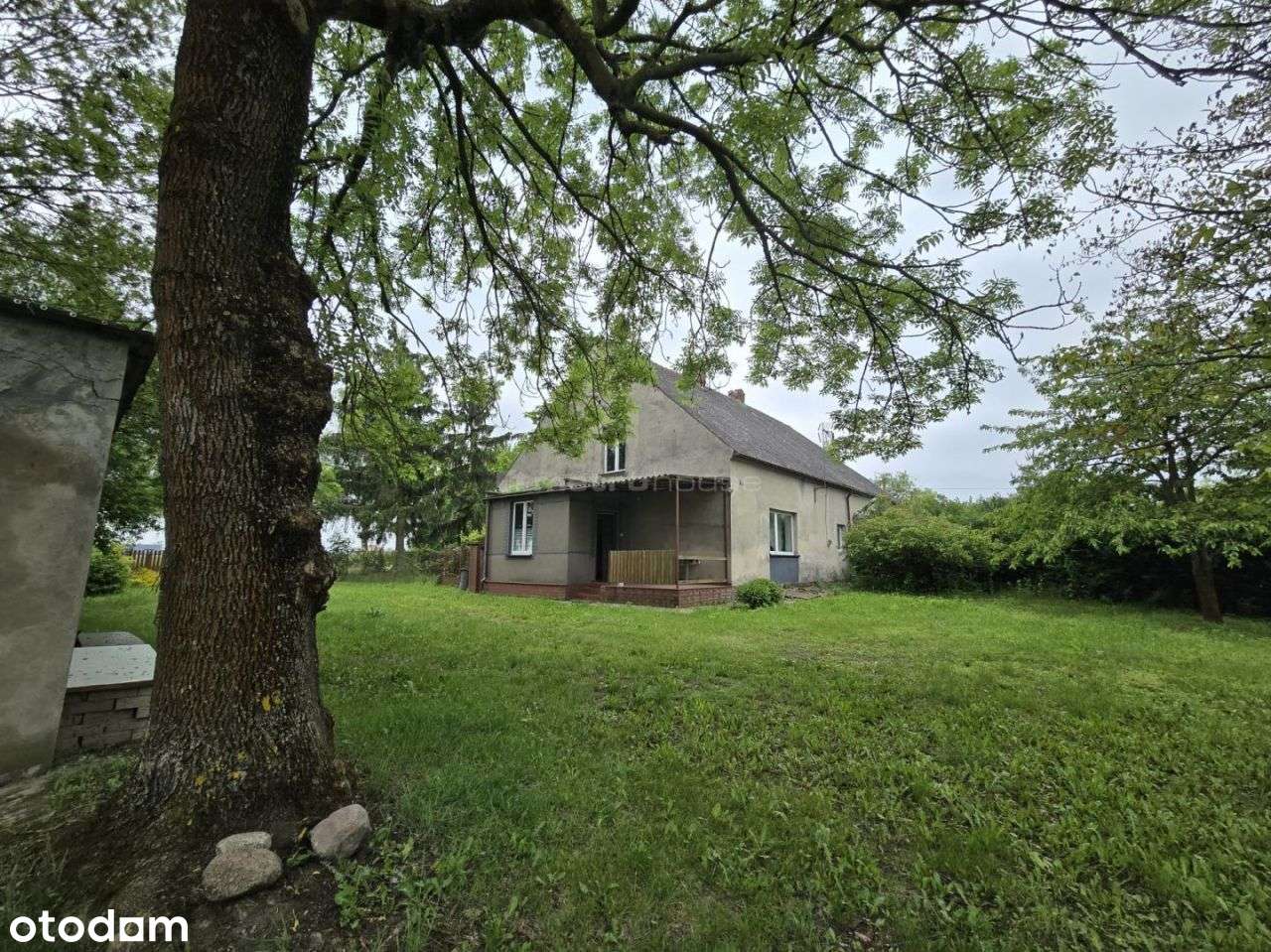 Grunty rolne oraz zabudowania, Rogowo, gm.Lubicz - Pełny obrazek: 4/20