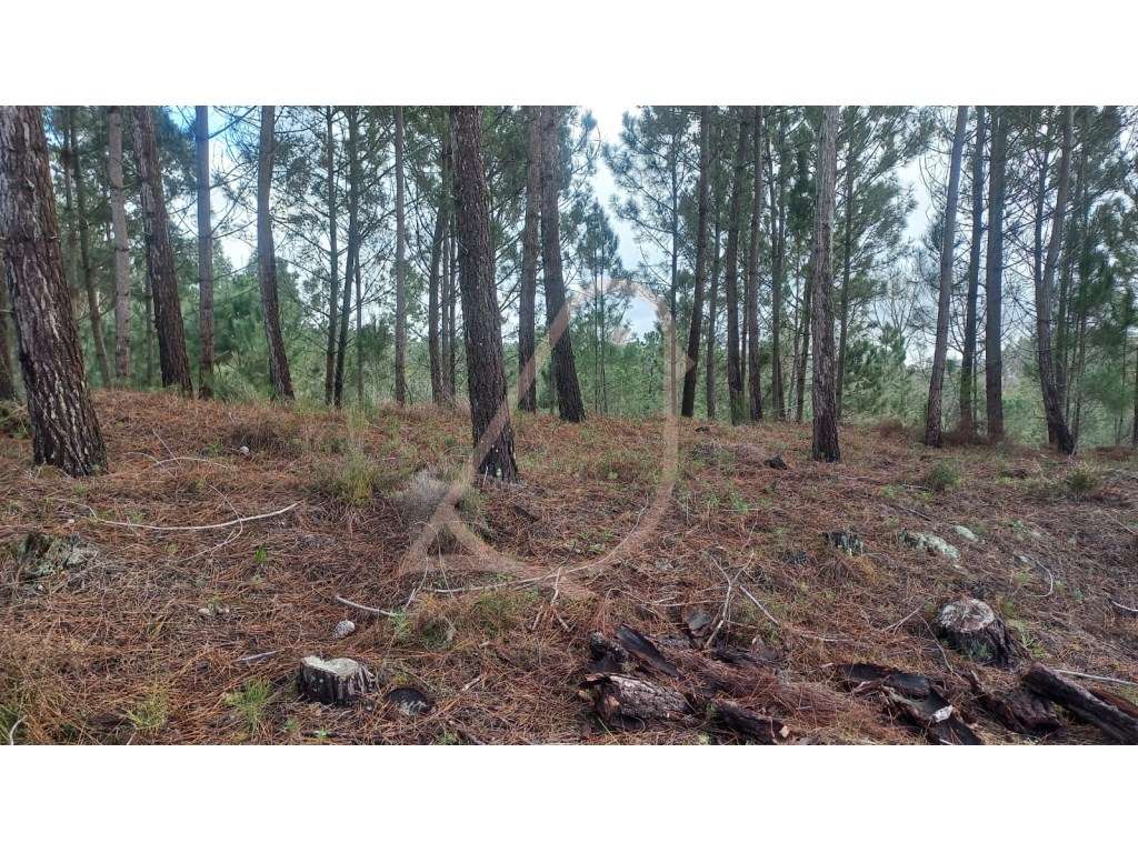 Terreno , terreno para construção-6