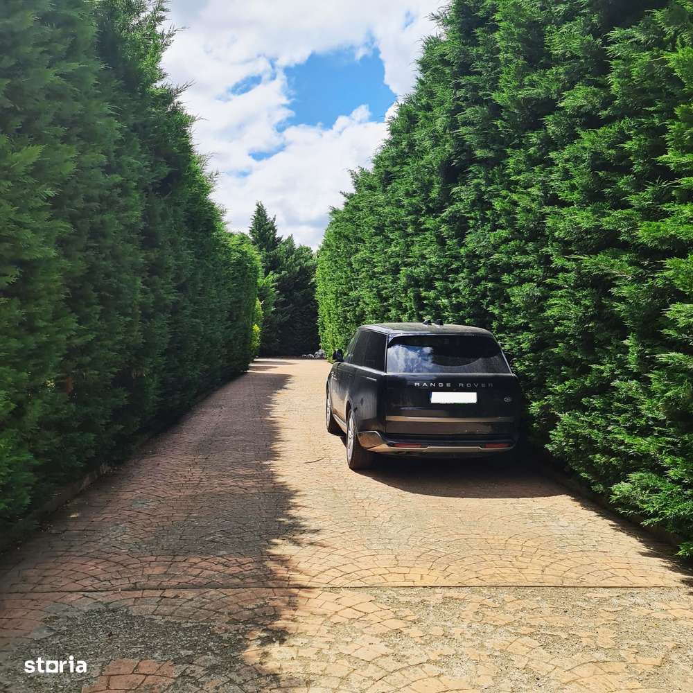 Bucium | locuinta impunatoare | refugiu al linistii si rafinamentului - Imagine principală: 5/20