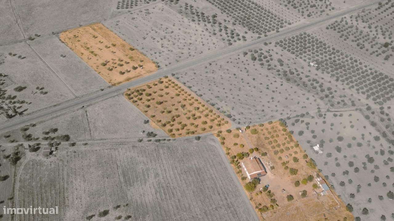 Monte Zorreiras em Mourão - Oportunidade Única no Coração do Alentejo - Grande imagem: 2/30