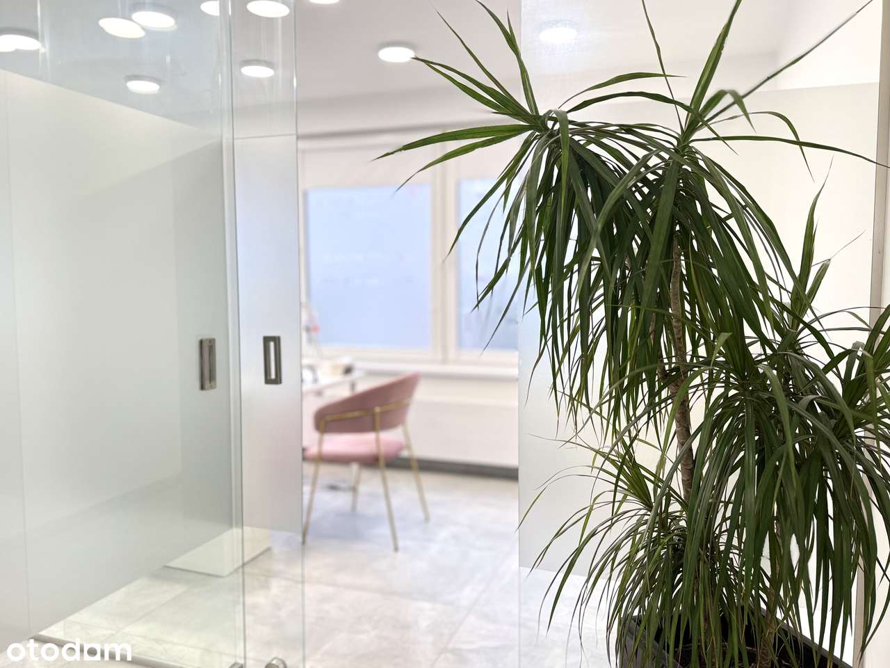 OD ZARAZ! Lokal użytkowy | Wynajem | Usługi Beauty | os. USTRONIE - Pełny obrazek: 4/8