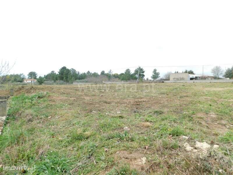 Terreno / Celorico da Beira, Carrapichana - Grande imagem: 5/12