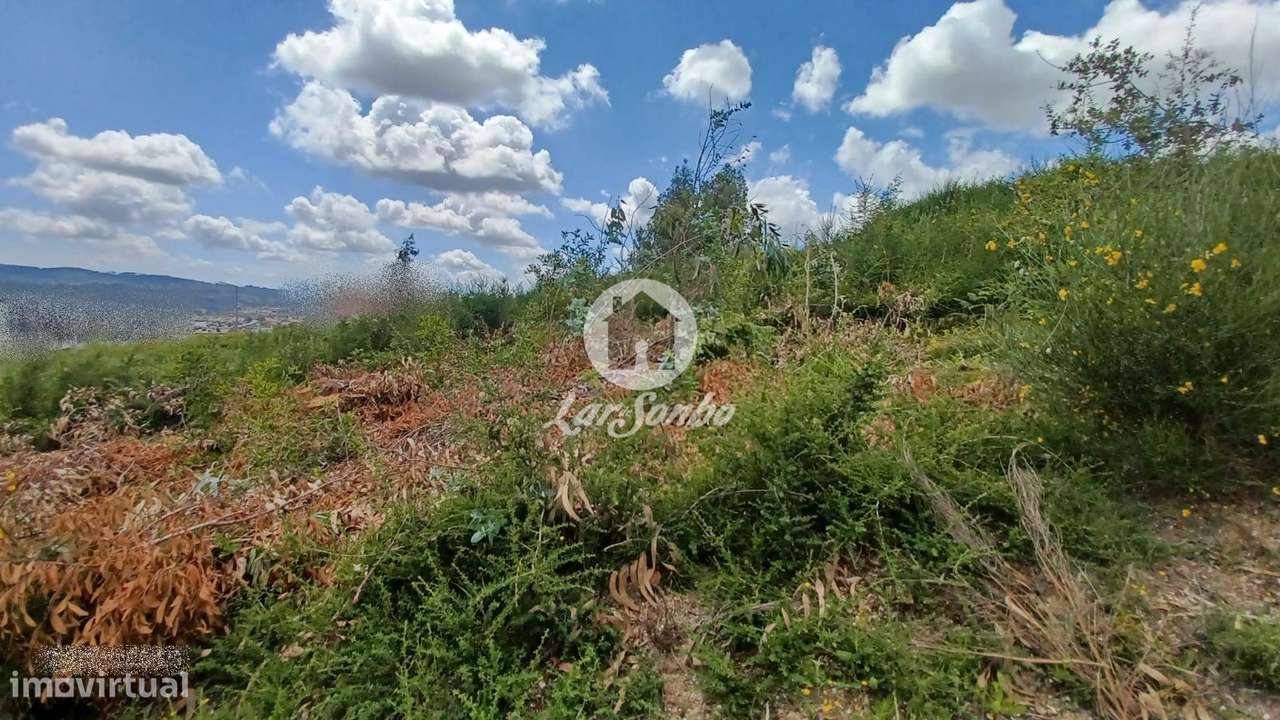 Terreno Urbano de 4.495m2 em Couto S. Miguel, Sto. Tirso - Grande imagem: 5/11