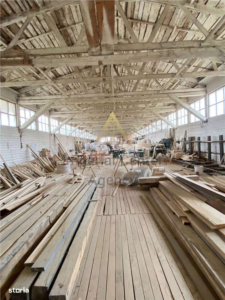 TEREN CU HALE DE PRODUCTIE   DE VANZARE - AGAS - Imagine principală: 1/20