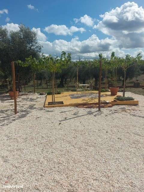 Monte Alentejano - com três casas prontas a habitar  (Sousel) - Grande imagem: 5/41