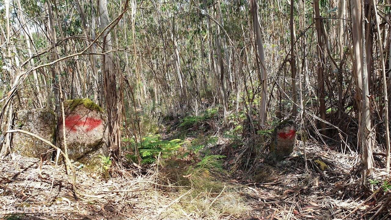 Terreno com 31.040 m2 em Cabeceiras de Basto - Grande imagem: 2/12
