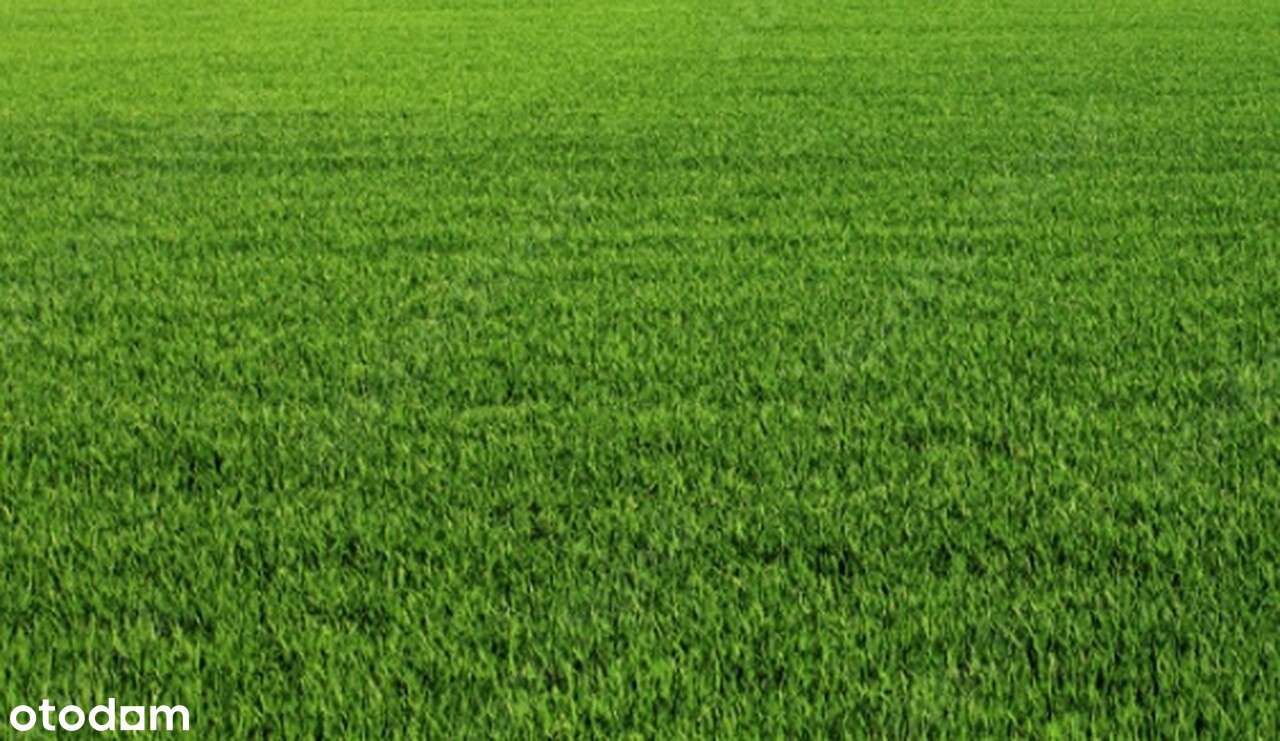 Działka inwestycyjna DK1-0