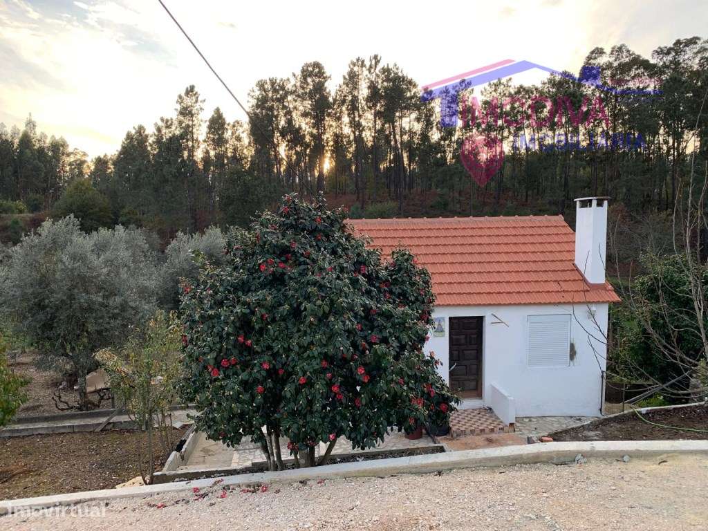 Moradia T1+1 restaurada, localizada na freguesia de Pedrógão Pequeno - Grande imagem: 2/25