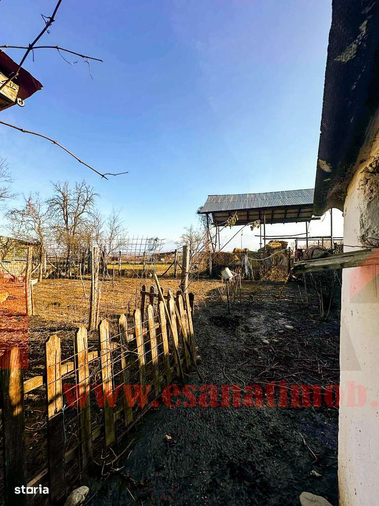 Casa in Bradu | 700 mp Teren | Acces Asfalt | Oportunitate Excelenta-9