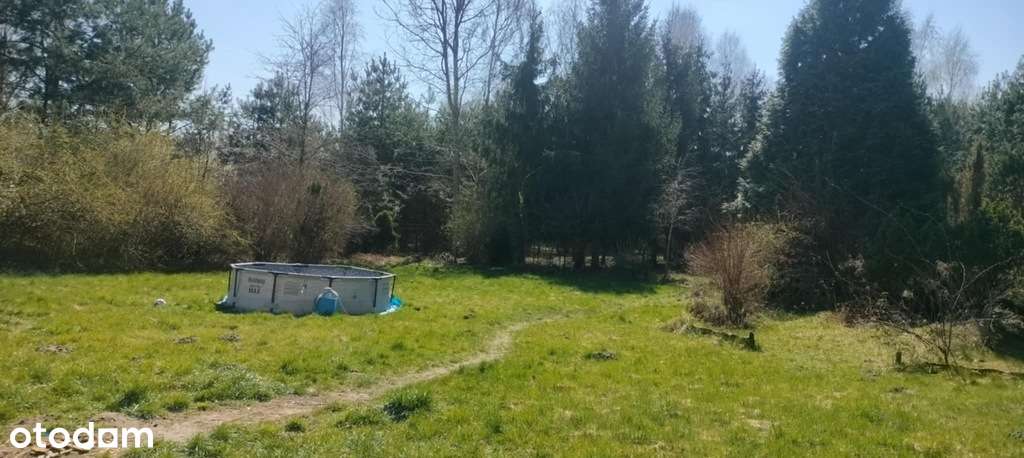 Nowa cena, duży dom z obszerną działką - Pełny obrazek: 4/9