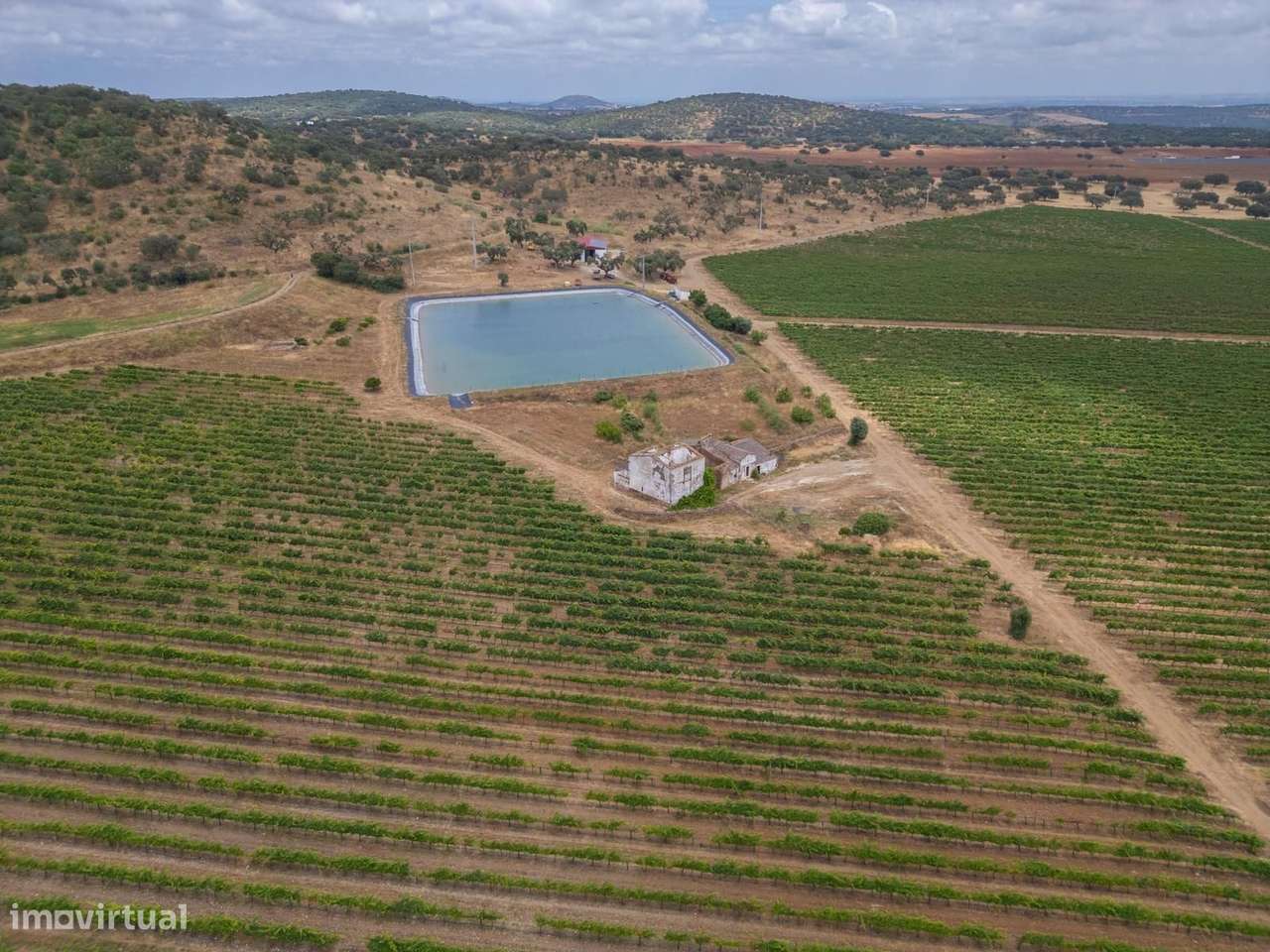 Herdade 96.5 ha, Ciladas, Vila Viçosa - Grande imagem: 2/24