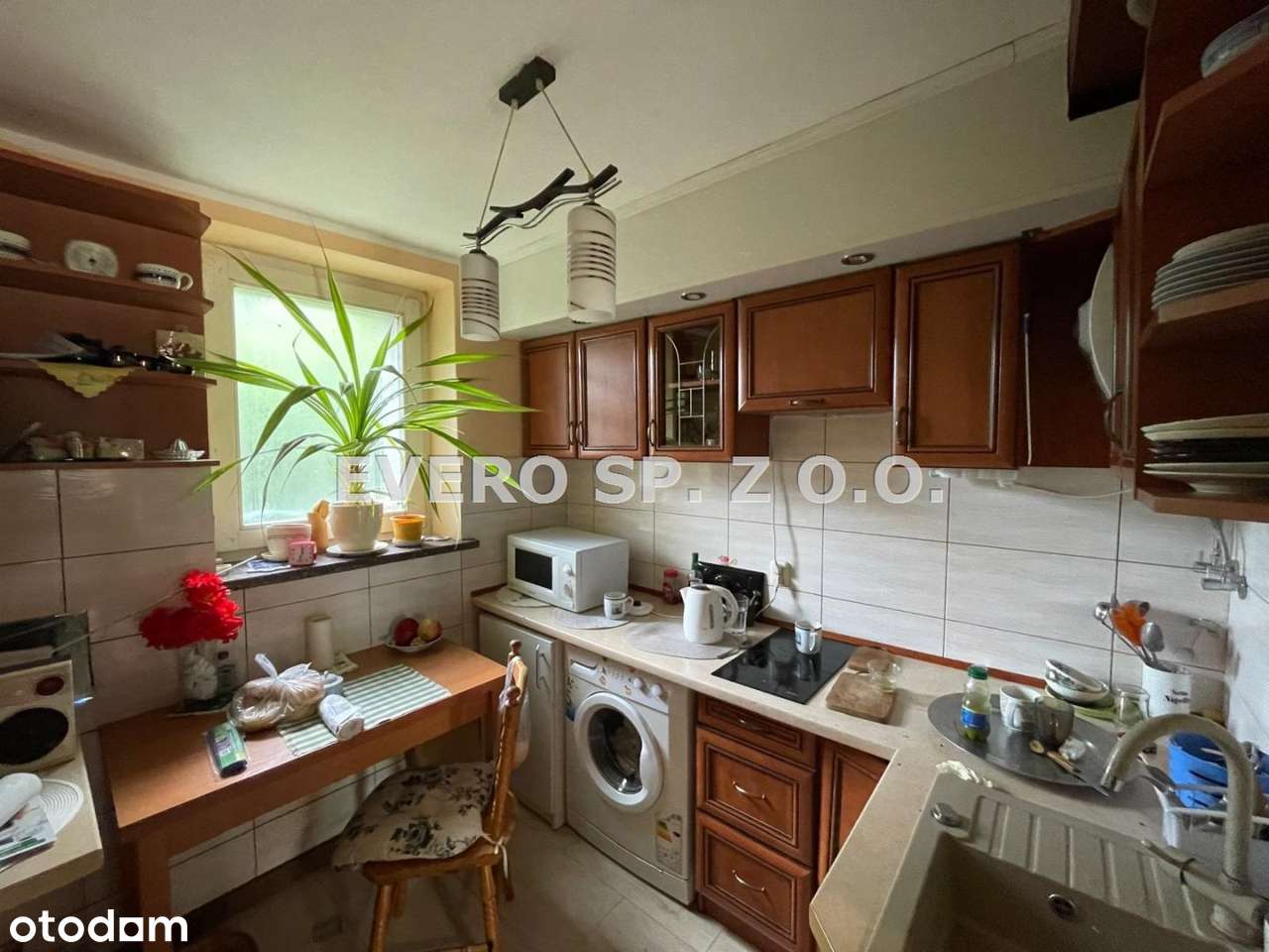 Sobótka - kawalerka z osobną kuchnią-1