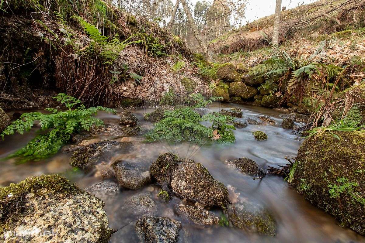 Quinta  para venda-10