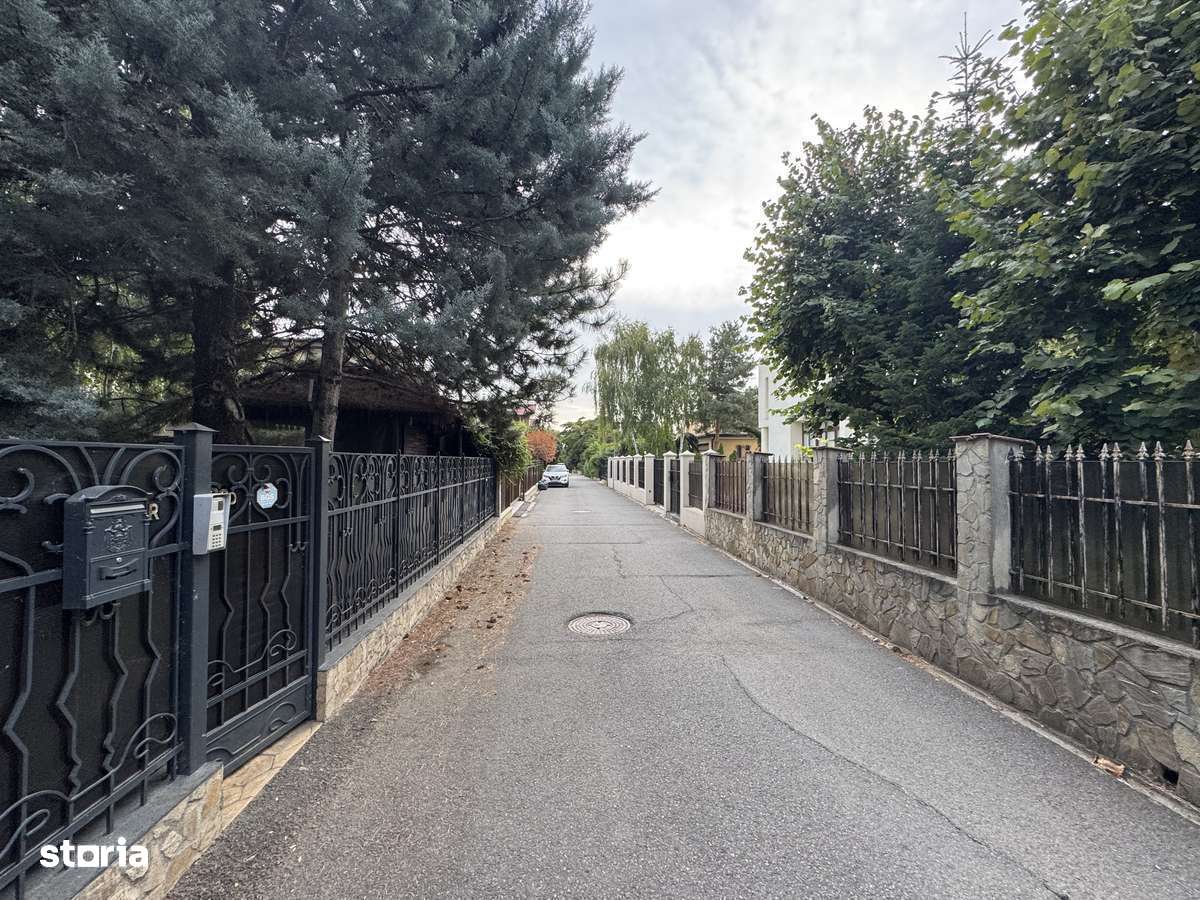Vilă  deosebită D+P+1E+P/  garaj/curte/ Iancu Nicolae-7