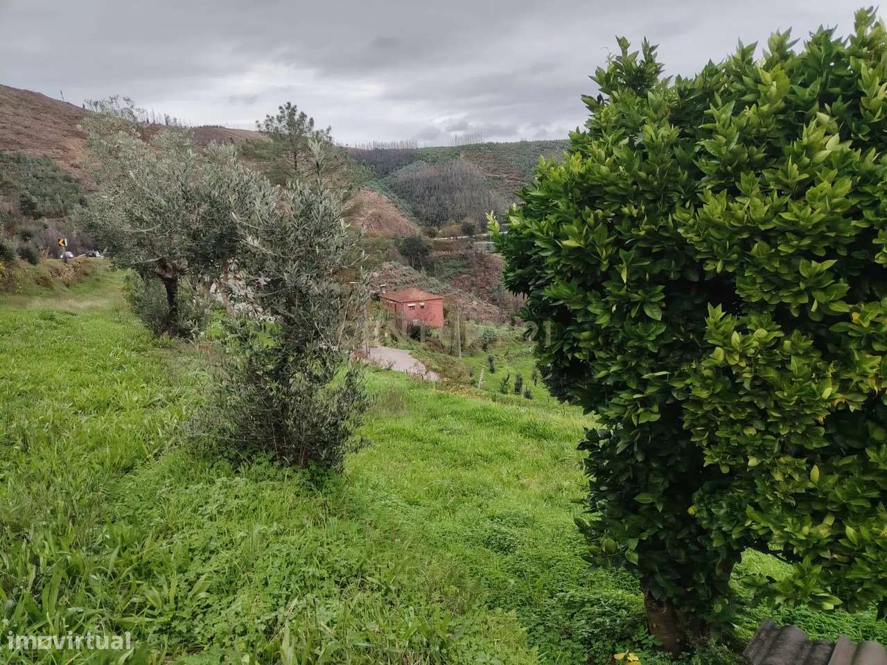 Moradia para Restauro em Sever do Vouga – Salgueirinhos-9