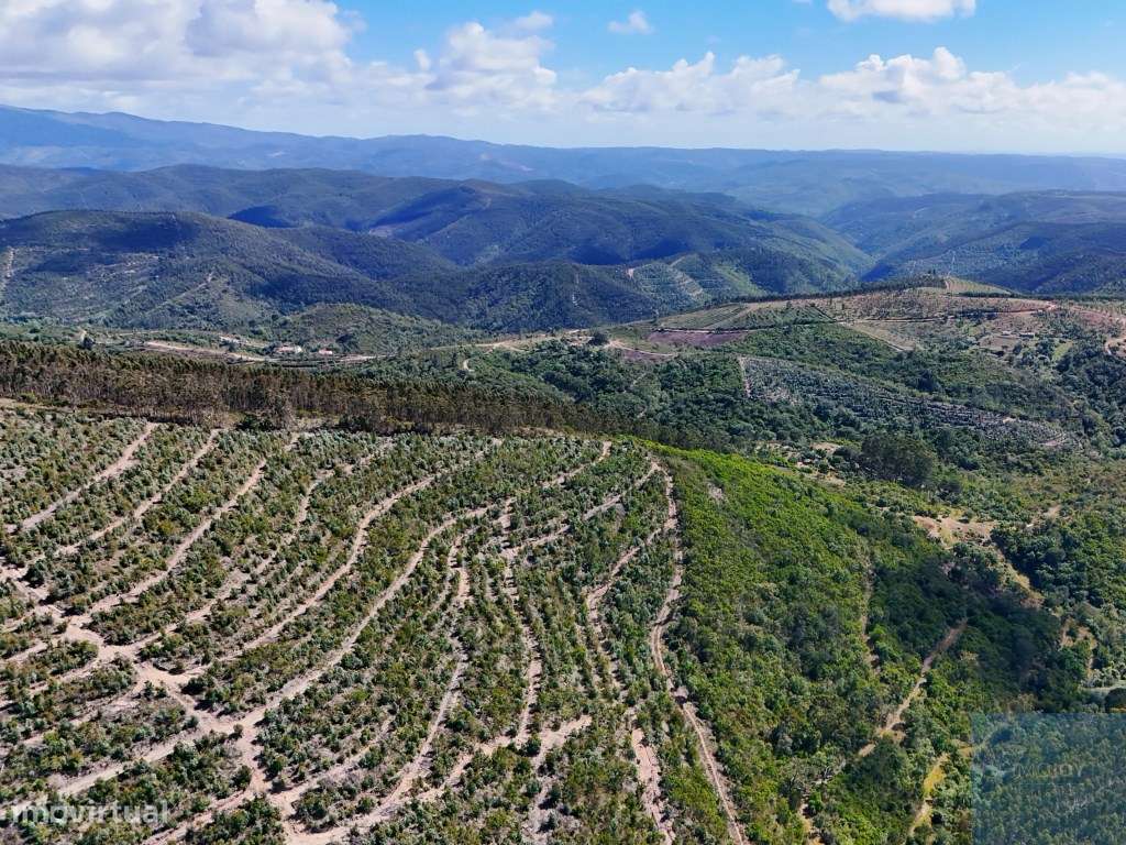 Terreno em São Teotónio, Odemira-12