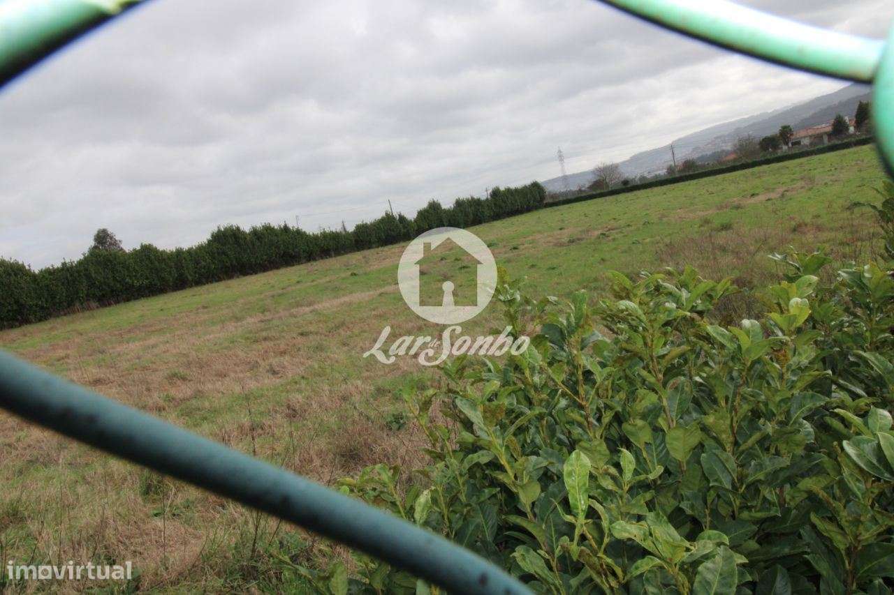 Terreno c/ área total de 8.500 m2 em Lama, Sequeiró Stº Tirso - Grande imagem: 3/4
