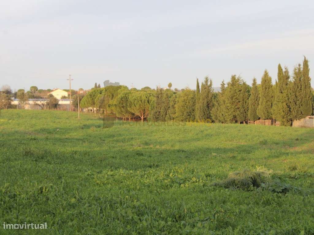 Terreno para construção com 13.000 m2, a 5 minutos de Tomar. - Grande imagem: 4/33