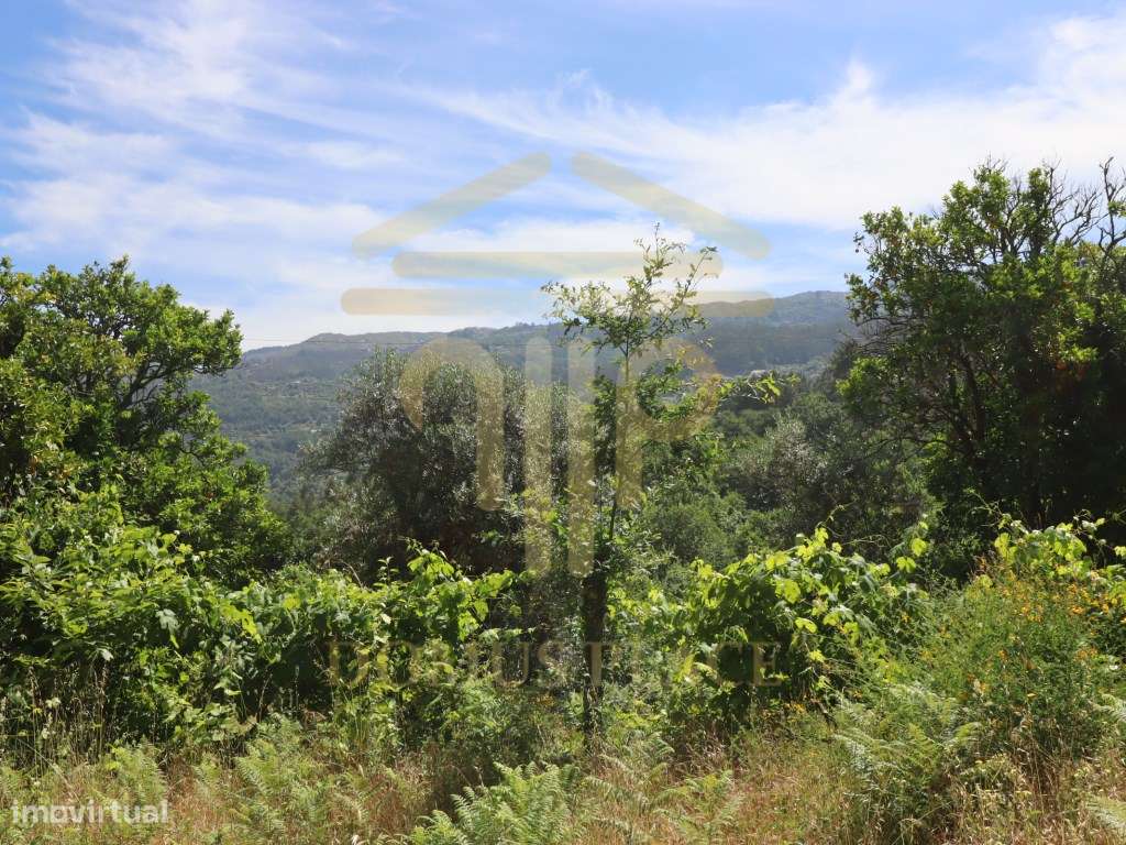 Terreno com 17.800 m², Casa para Reconstruir e mina de Água - Soalh...-8
