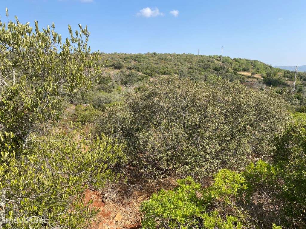 Lote de Terreno Rústico no Serro dos Passarinhos, Loulé, Algarve - Grande imagem: 2/20