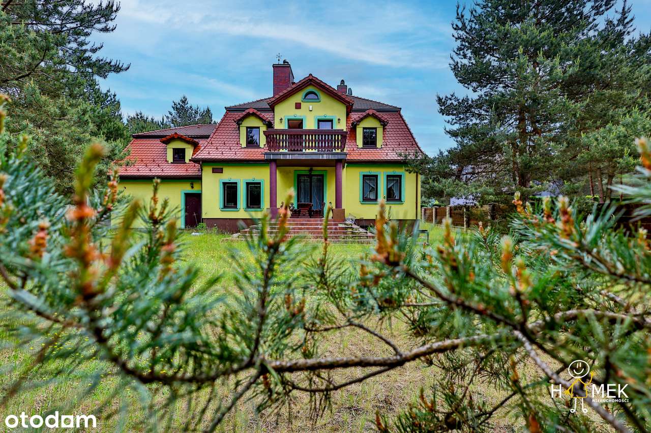 Z Dala od Hałasu, w Sercu Magicznego Lasu - Twój Azyl - Willa Leśna!-1